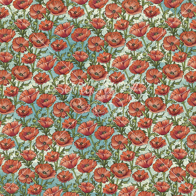Graphic 45 Wonder Of OZ Double-Sided Cardstock 12"X12" (Poppies)